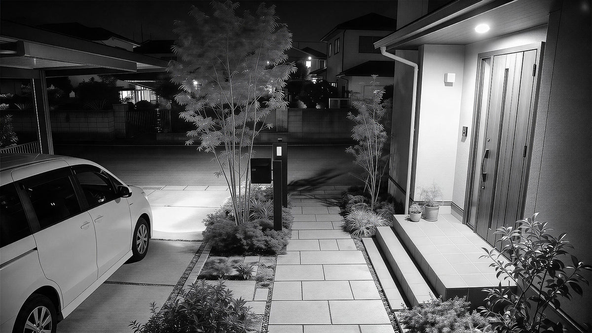 Black & White Vision